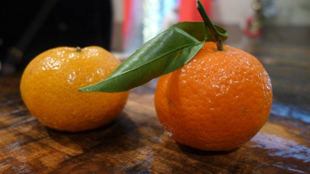 Den utseendemessige forskjellen på mandarin og klementin er ikke stor, men stor nok. Mandarinen er den lyse frukten til venstre. Foto: Helle Øder Valebrokk
