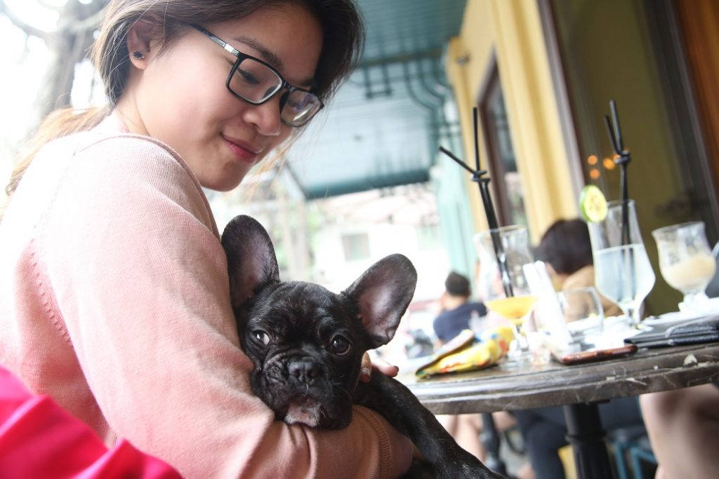 Det er dessverre ingen myte at vietnameserne spiser hund, men at dette var et elsket kjæledyr var det ingen tvil om. Hundens navn er for øvrig Instant Noodle. Foto: Erik Valebrokk