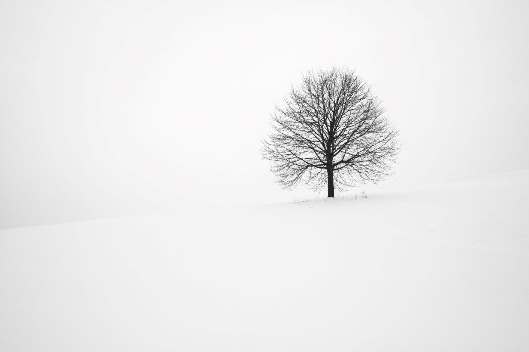 Vinteren kan være vakker, særlig med god musikk på øret. Foto: Fabrice Villard